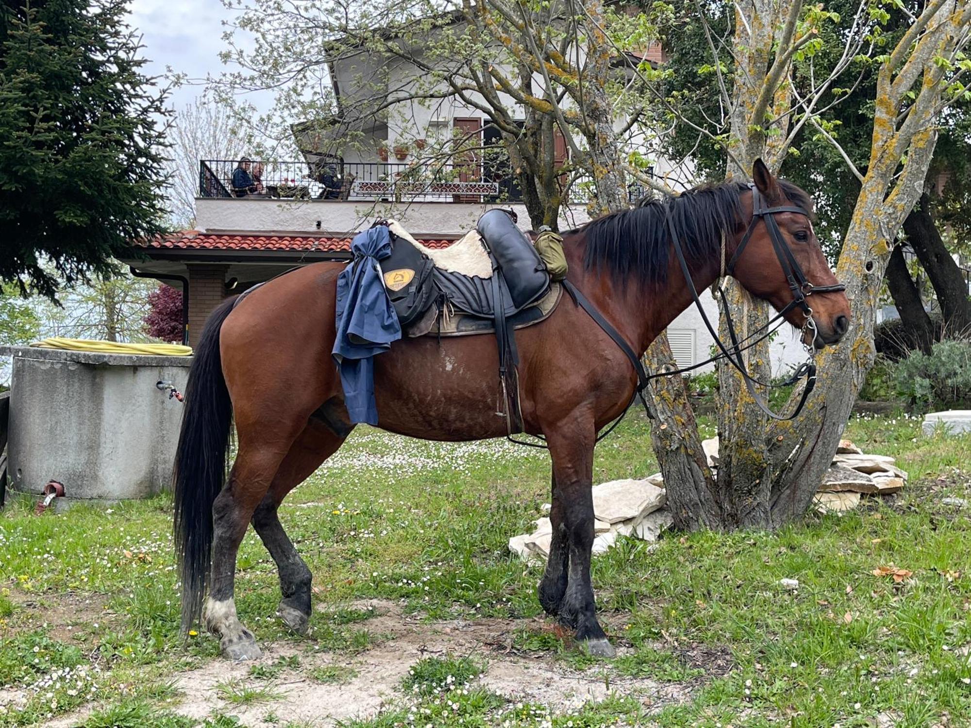 B&B Il Sentiero Dei Goti Monte Grimano Terme Dış mekan fotoğraf
