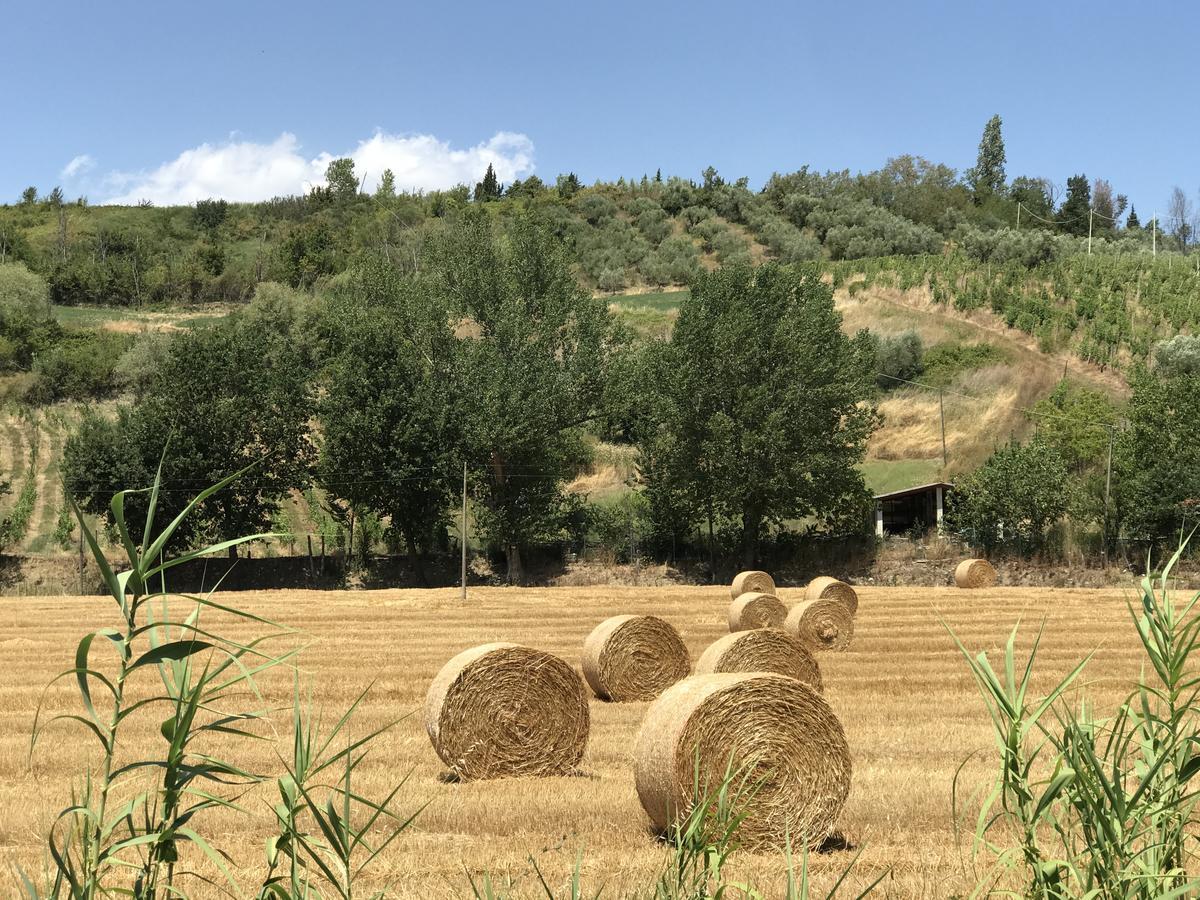 B&B Il Sentiero Dei Goti Monte Grimano Terme Dış mekan fotoğraf